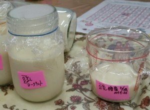豆乳ヨーグルト1