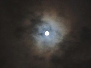P9263004_R