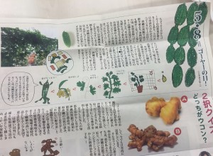 新聞ゴーヤ