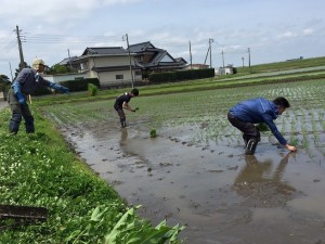 田植え2_160507