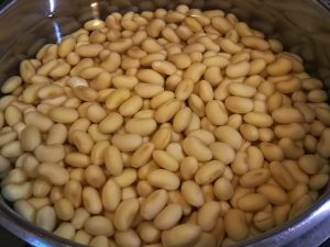 お味噌の発酵