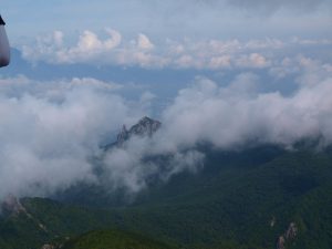 幸福度を調査する意味とは