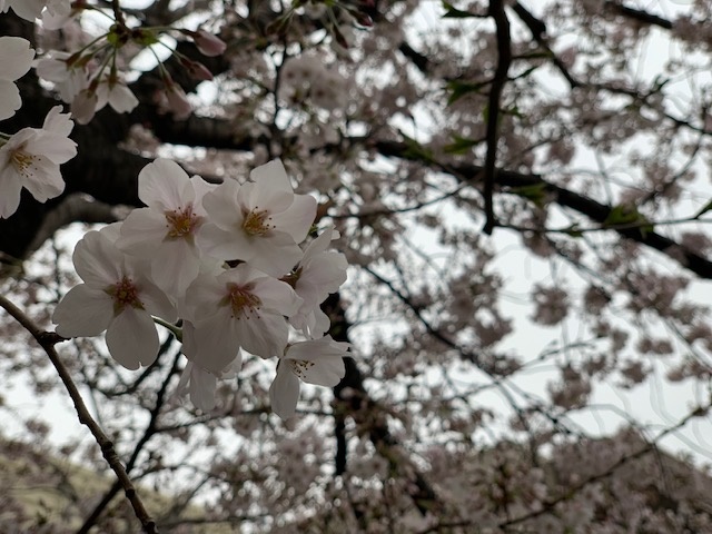 平成最後の年度末