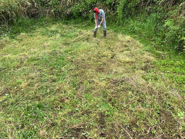 田んぼづくり