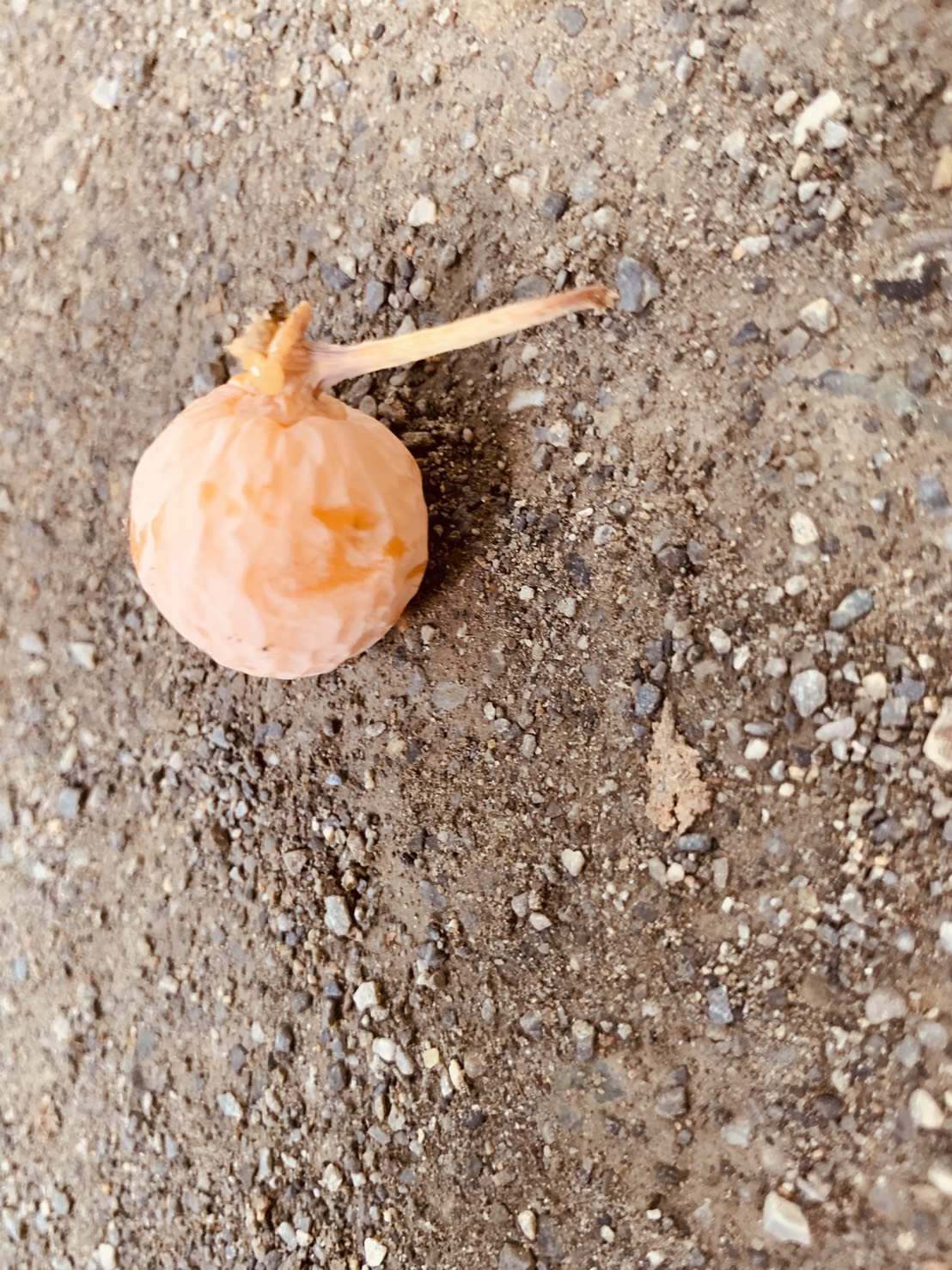 引っ越しから学んだこと