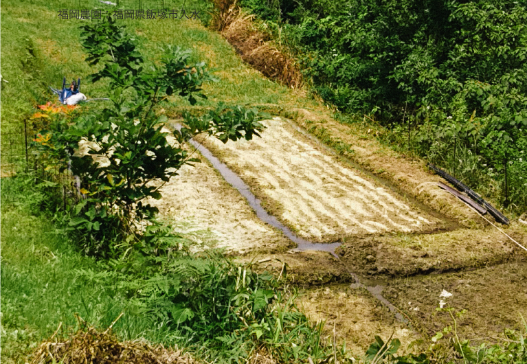 カグヤ農園所在地