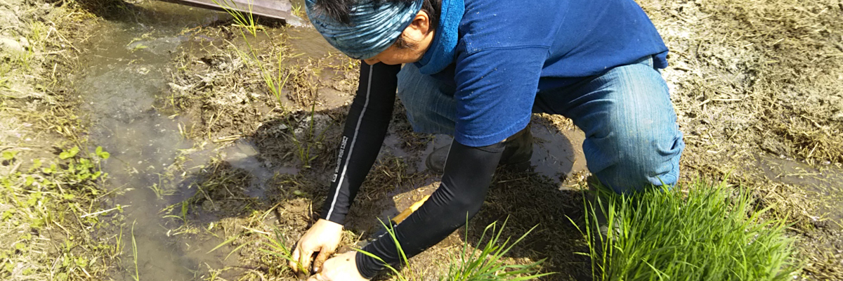 農・植物・発酵