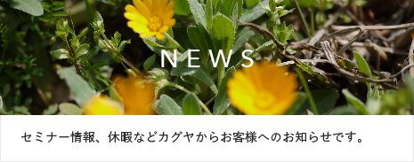 NEWS